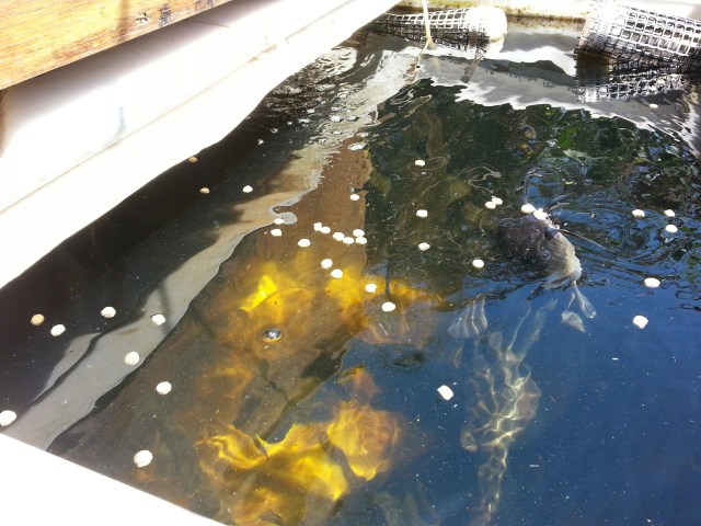 20140608_143038_resized